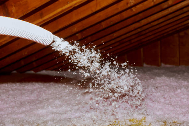 Best Eco-Friendly Insulation in Rochester, IN