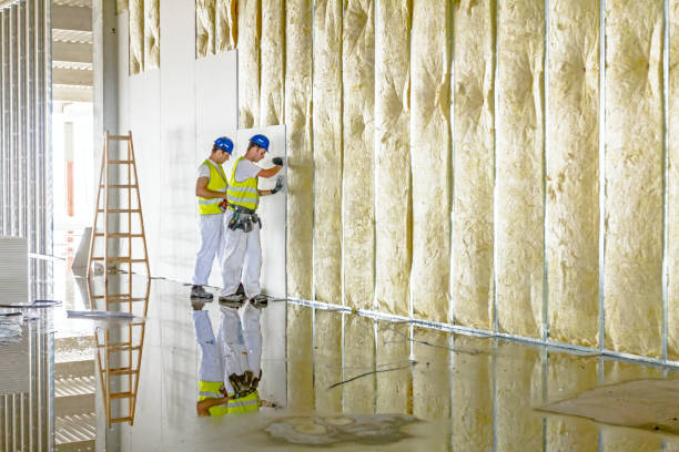 Best Eco-Friendly Insulation in Rochester, IN